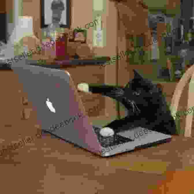 A Cat Sitting On A Computer Keyboard, Sending Hilarious Emails Silly Cats: A Hilarious Fun Illustration For Cat Lovers (Silly Pets 1)