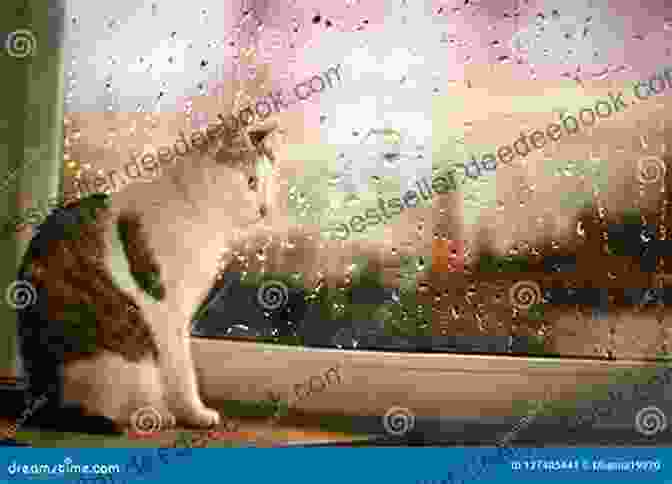 A Cat Sitting On A Windowsill, Looking Sad. Finding Hope: After The Death Of Your Cat (Finding Hope After The Death Of A Loved One)