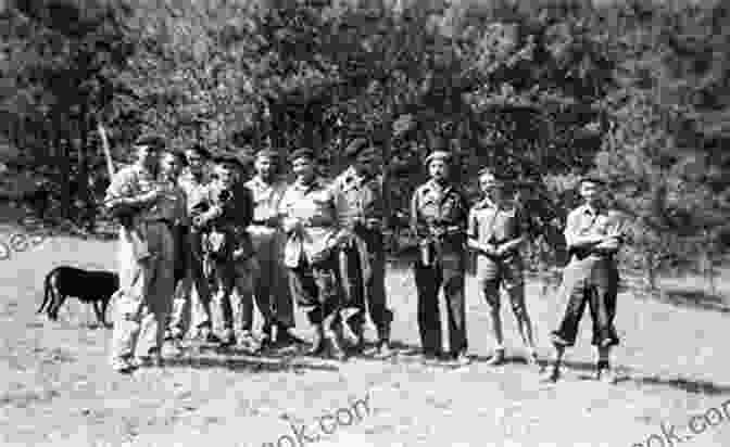 A Group Of Armed Maquisards, French Resistance Fighters, In The Dense Forests Of Occupied France. Teenage Resistance Fighter: With The Maquisards In Occupied France