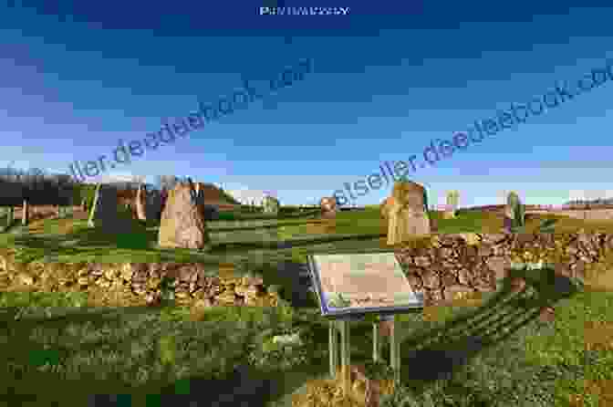 A Large Circle Of Standing Stones On A Grassy Hilltop CIRCLES OF STONE (The Mother People 1)