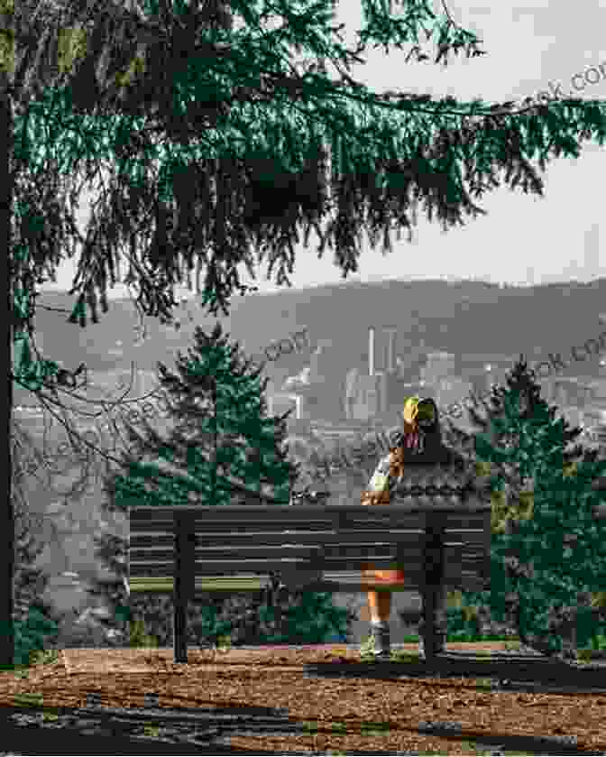 A Panoramic View Of The City Skyline From Atop Mount Tabor, With The Willamette River And The Cascade Mountains In The Distance. Went To Portland: An American Journey In Photos