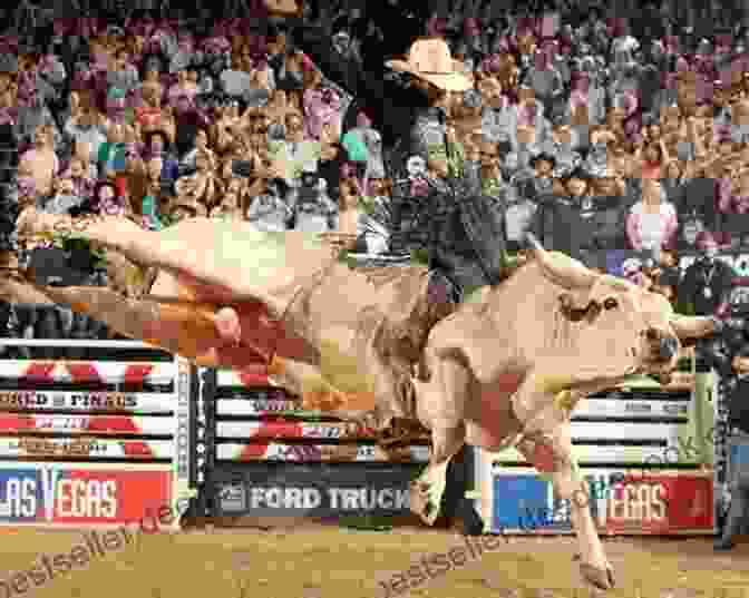 A Panoramic View Of The Oklahoma Nights Bull Riding Arena, With Cowboys Preparing For The Show. Three Weeks With A Bull Rider (Oklahoma Nights 3)