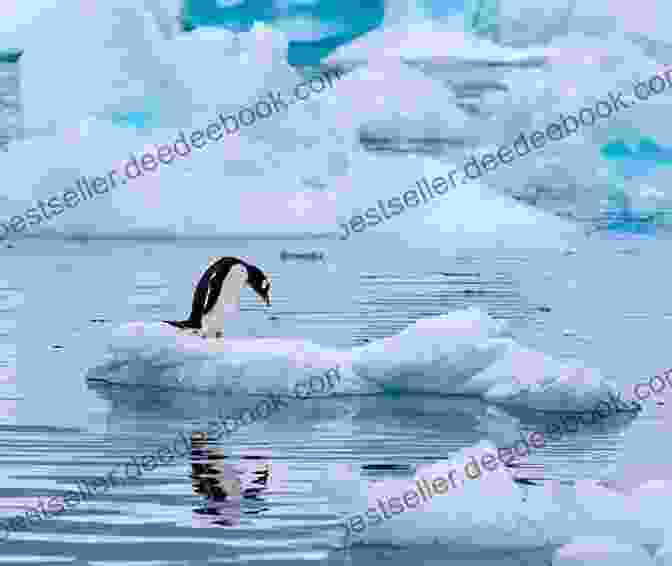 A Penguin Standing On An Ice Floe In Antarctica Death And The Penguin (Melville International Crime)