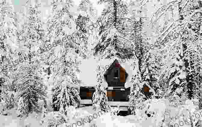 A Small Wooden Cabin In A Snow Covered Siberian Village, Surrounded By Dense Forest. Six Days In Siberia J P Brindley