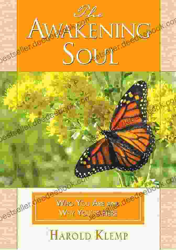 Book Cover Of 'The Awakened Soul' Tranquility: A Village Of Hope (The Awakening Tetralogy A Of Four Spiritual Books)