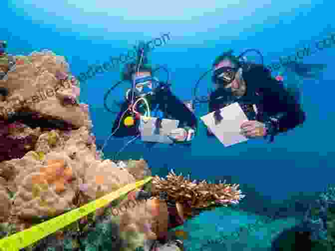 Coral Reef Conservationists Monitoring The Health Of A Coral Reef The Safeguard Of The Sea: A Naval History Of Britain 660 1649 (Naval History Of The Sea V 1 660 1)