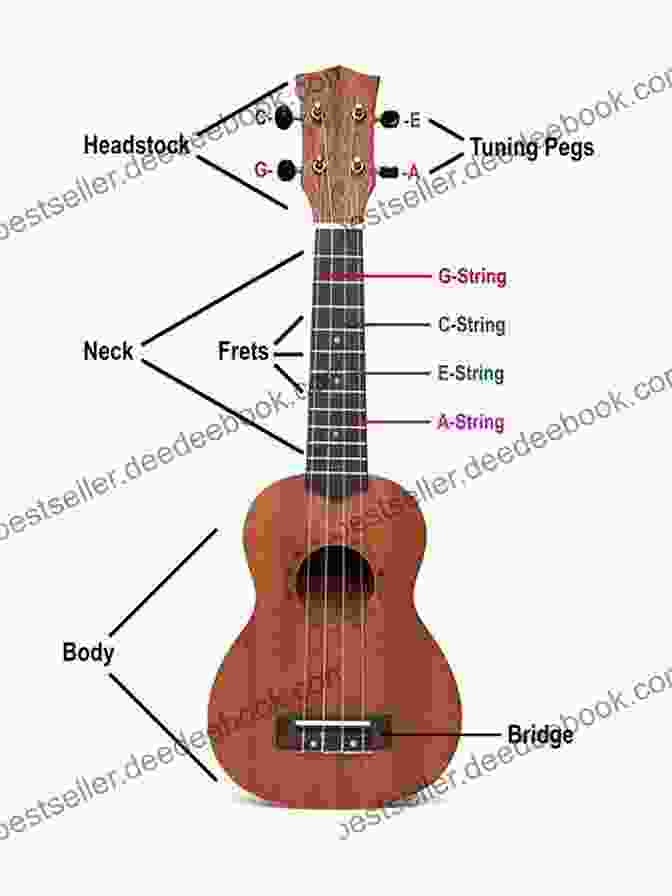 Diagram Of The Ukulele Parts Ukulele For Dummies ( For Dummies)