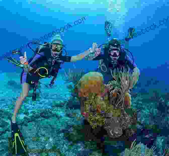 Diver In Cozumel, Mexico Yucatan Cancun Cozumel Pocket Adventures