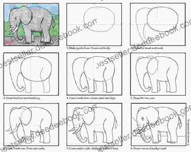 Elephant Anatomy Diagram Art Of Drawing: Wild Animals: How To Draw Elephants Tigers Lions And Other Animals