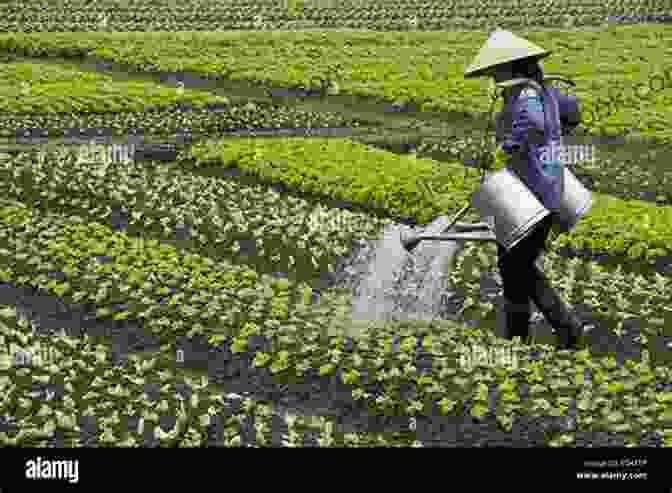 Image Of A Farmer Irrigating Crops In Asia Paths To Development In Asia: South Korea Vietnam China And Indonesia