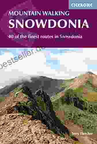 Mountain Walking In Snowdonia: 40 Of The Finest Routes In Snowdonia (Cicerone Guides)