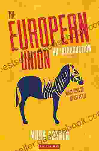 The European Union: An Introduction (Library Of European Studies 20)