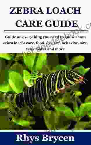 ZEBRA LOACH CARE GUIDE: Guide on everything you need to know about zebra loach: care food disease behavior size tank mates and more