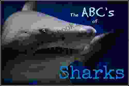 The ABCs Of Sharks: Fun Facts About Sharks That Children Will Love