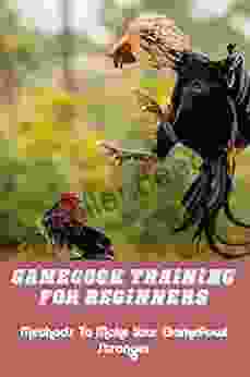 Gamecock Training For Beginners: Methods To Make Your Gamefowl Stronger