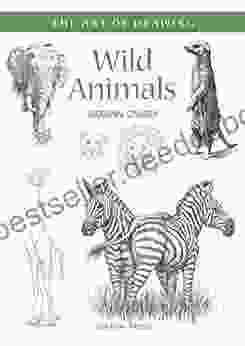 Art Of Drawing: Wild Animals: How To Draw Elephants Tigers Lions And Other Animals