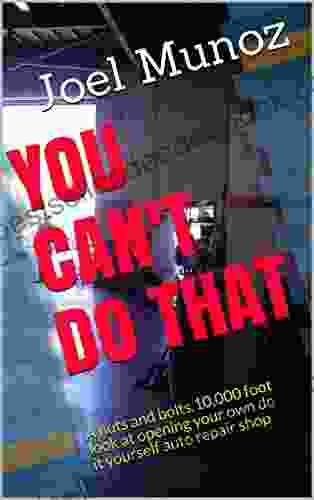 YOU CAN T DO THAT: A Nuts And Bolts 10 000 Foot Look At Opening Your Own Do It Yourself Auto Repair Shop