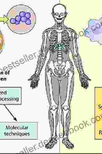 Principles of Orthopedic Infection Management