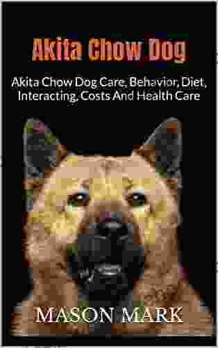 Akita Chow Dog : Akita Chow Dog Care Behavior Diet Interacting Costs And Health Care