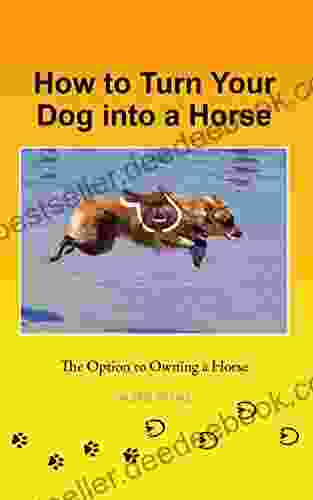 How To Turn Your Dog Into A Horse: The Option To Owning A Horse