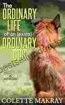 The Ordinary Life of an (Extra) Ordinary Dog A Memoir