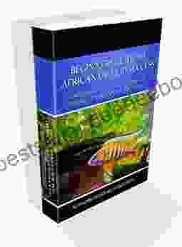 Beginners Guide To African Cichlid Success