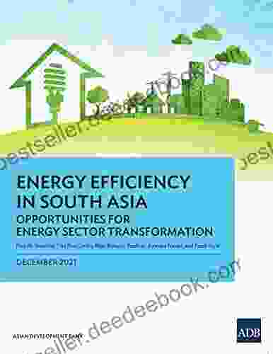 Energy Efficiency In South Asia: Opportunities For Energy Sector Transformation