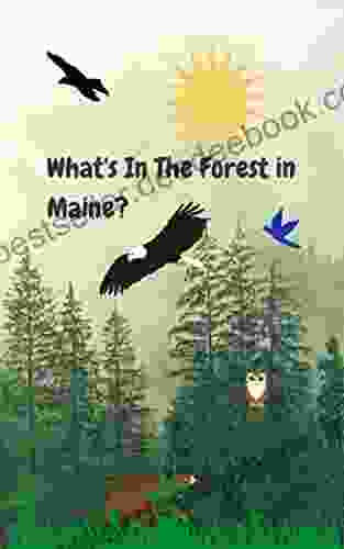 What S In The Forest In Maine?