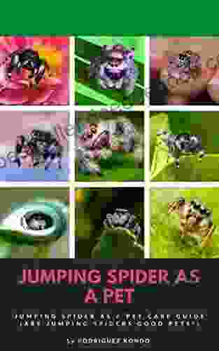 JUMPING SPIDER AS A PET: Jumping Spider As A Pet Care Guide (Are Jumping Spiders Good Pets?)